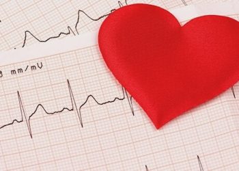 CBD – schützende Wirkung für das Herz-Kreislauf-System