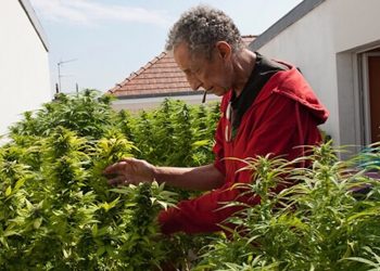 Jean-Pierre Galland, Autor des Buches Fumée clandestine