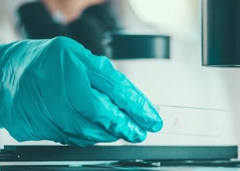 Fortschritte in der Wissenschaft –  6 Länder, die eine Erforschung von medizinischem Cannabis vorantreiben