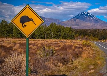 Medizinisches Cannabis bald auch in Neuseeland?