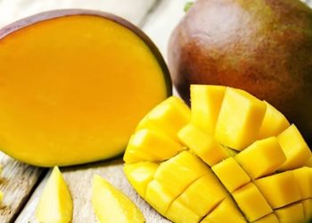 Das Terpen Myrcen – Geruch und Geschmack, Vorkommen und medizinischer Nutzen