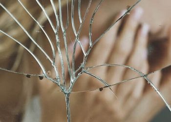 Cannabis und Paranoia