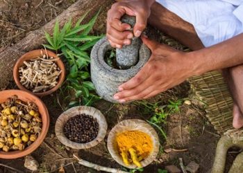 Cannabis in Verbindung mit Ayurveda