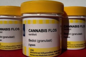 Strain İncelemesi: Bedrocan'ın Bediol Çeşidi
