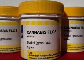 Strainreview: Bediol von Bedrocan