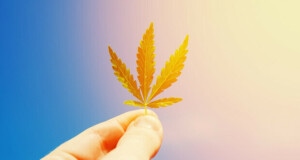 Come la Cannabis Influenza i Livelli di Dopamina