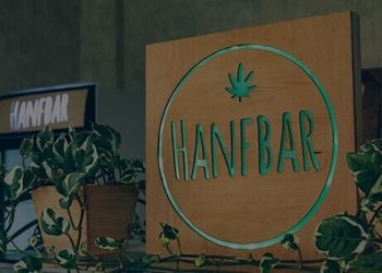 Hanfbar Teil III: Schrecken ohne Ende