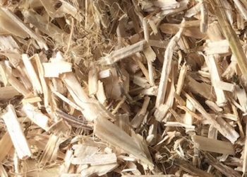 Einsatzgebiete von Hanfschäben