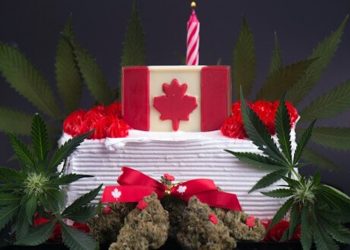 Seltsame Cannabis Gesetze in Kanadas Provinzen