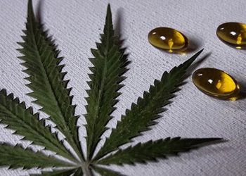 CBD Kapseln von NordicOil