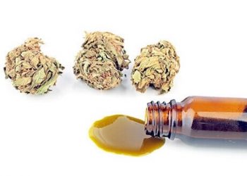Hat Cannabidiol Nebenwirkungen?