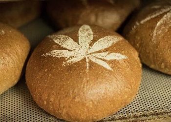 Hanfbrot – Kulturpflanze trifft Brotkultur