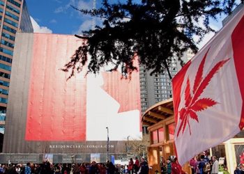 Legalisierung in Kanada: Ärzte sehen die Entscheidung kritisch