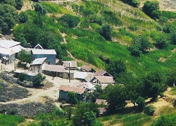 Hanf im  marokkanischen Hohen Zentralen Rif