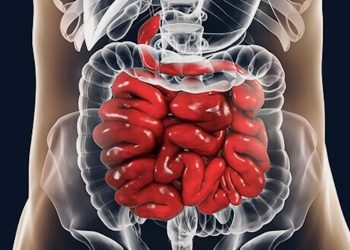 Wie wirkt CBD auf den Reizdarm?