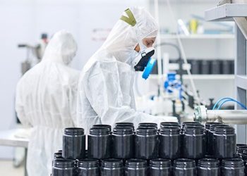 Kann der legale Cannabismarkt zu einem Umweltproblem werden?