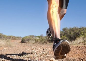 Cannabis und seine Wirkung auf die Gesundheit der Knochen