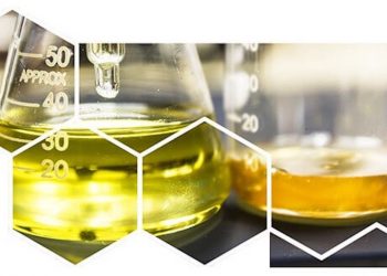 Canopy Growth kauft das Cannabis-Unternehmen ebbu