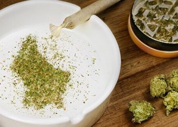 Luxemburgs Regierungskoalition beschließt Cannabis-Legalisierung