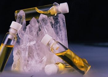 Terpene: Die nächste Innovation konzentriert sich nicht auf Cannabinoide