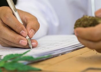 EU-Drogenbeobachtungsstelle veröffentlicht ersten Bericht zu Cannabis als Medizin
