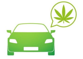 Kanada und Cannabis im Auto – Was man wissen sollte