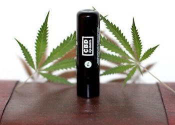 Pharmahemp Lippenbalsam – Hilfe für gereizte und trockene Lippen im Winter