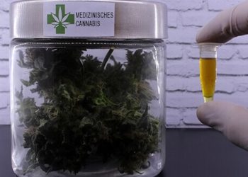 Die älteren Generationen machten CBD in 2018 erfolgreich