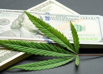 Vielversprechende Cannabis-Aktien für 2019