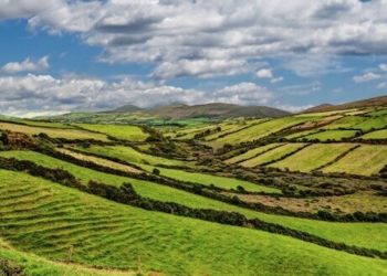 Irland könnte bald eigenes medizinisches Cannabis anbauen