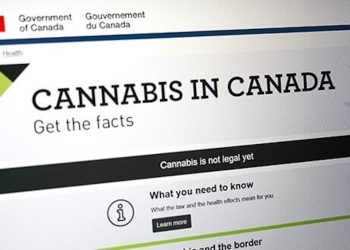 Kanada: Neue Statistiken zeigen Probleme mit dem legalen Cannabis-Markt