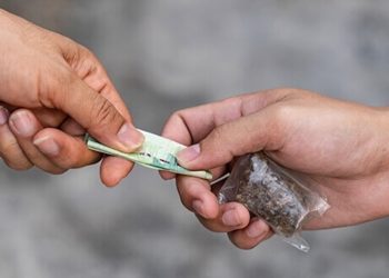 Zu wenig CBD: Warum Cannabis vom Schwarzmarkt immer gefährlicher wird