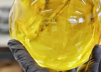 Dragon Balls – Das goldene, transparente Konzentrat