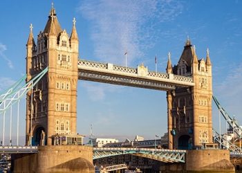 Debatte um Cannabis gegen chronische Schmerzen in Großbritannien