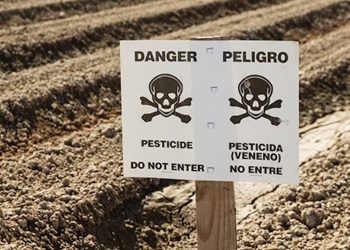 Sind Pestizide in Cannabis-Extrakten enthalten?