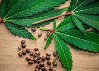 Wissenschaft: Die zehn wichtigsten Studien aus dem Jahr 2018