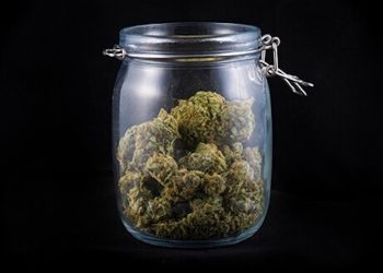 Der akute Mangel an Cannabisblüten in deutschen Apotheken hält an