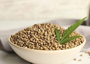 Hanfsamen gegen Alzheimer und Parkinson