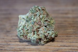 Pedanios 22/1 Aurora Strain İncelemesi: Güçlü Tıbbi Cannabis Çeşidi
