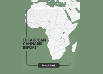 Afrika – Auf dem Weg zum global Player am Cannabismarkt?