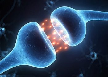 Forscher entschlüsseln Struktur des CB2-Rezeptors