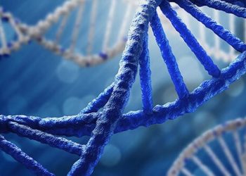 Bestimmt unsere DNA, wie Cannabis wirkt?