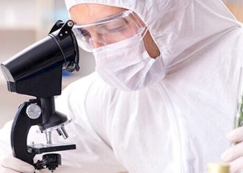 Die Cannabisbranche emanzipiert sich durch Bildung und Professionalisierung