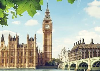 Keine Volksabstimmung über Cannabis-Legalisierung in Großbritannien