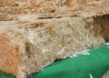 Raumschalldämmung mit Hanf