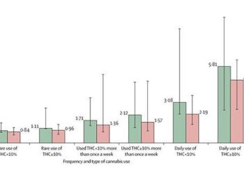 Wissenschaft: Studie über Psychose und Cannabiskonsum
