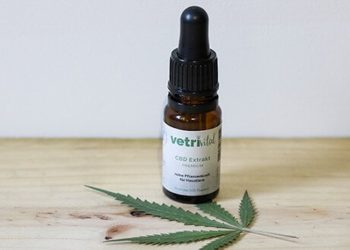 VetriVital CBD Extrakt – Pflanzenkraft für Haustiere