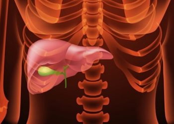 Kann Cannabis die Leber vor Alkohol-Schäden schützen?