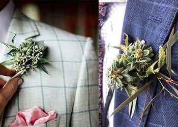 Weeding: Hochzeit im 420 Style