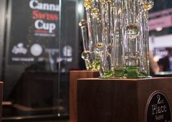 Der CannaSwissCup: Das CBD-Cannasseur-Event bei der CannaTrade 2019
